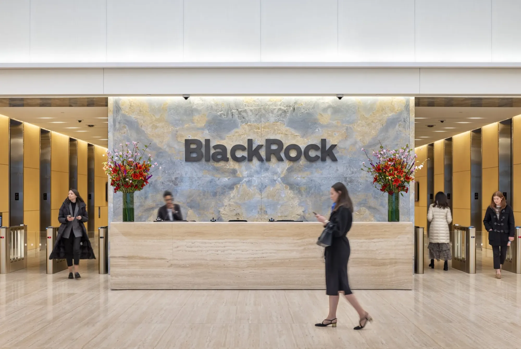 BlackRock Excluded from Malaysia Airports Privatization Amid Backlash Over Israel Ties
